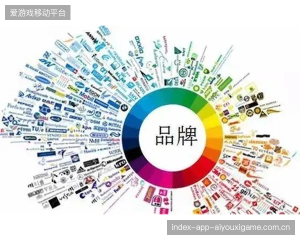 金琴英落点控制：精准落点，打造高端品牌形象